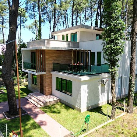 شيخفيتيلي Pine Aparthotel المظهر الخارجي الصورة